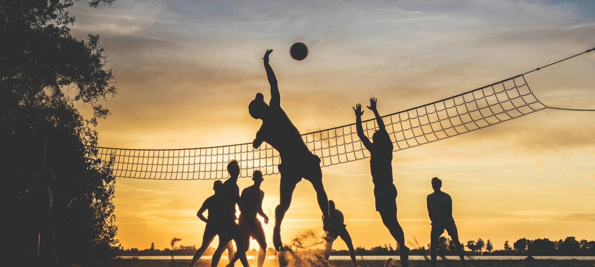 leyu乐鱼官网 - 足篮电竞体育竞猜_leyu.com正版站