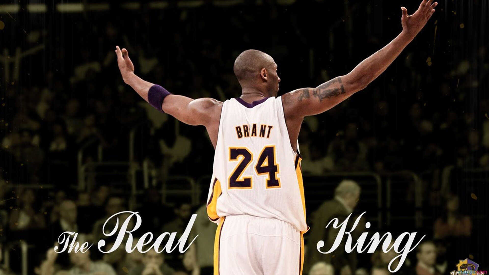 “武术对决：2025世界运动会高新体育中心武者斗志昂扬”