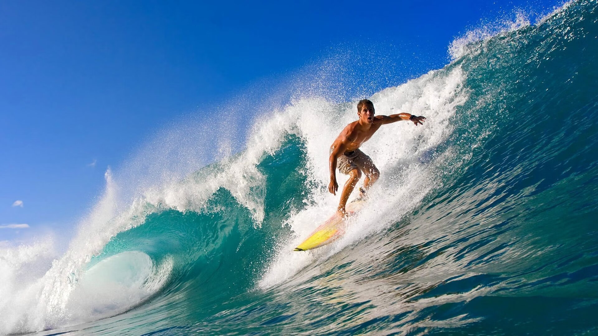 体育文化周在高校举办丰富活动内容，体育文化周总结